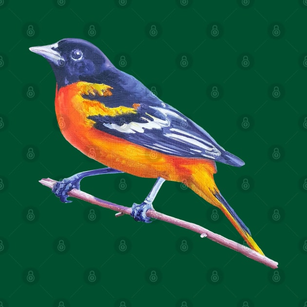 Baltimore Oriole - bird painting (no background) by EmilyBickell