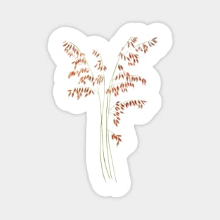 smooth brome grass seed head watercolor Magnet