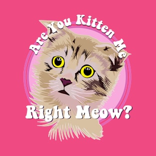 Are You Kitten Me Right Meow T-Shirt