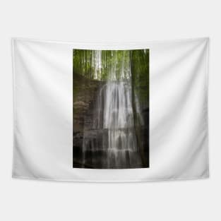 Light On Sherman Falls Tapestry