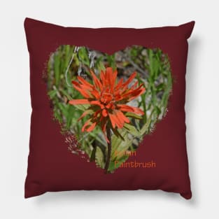 Indian Paintbrush Pillow