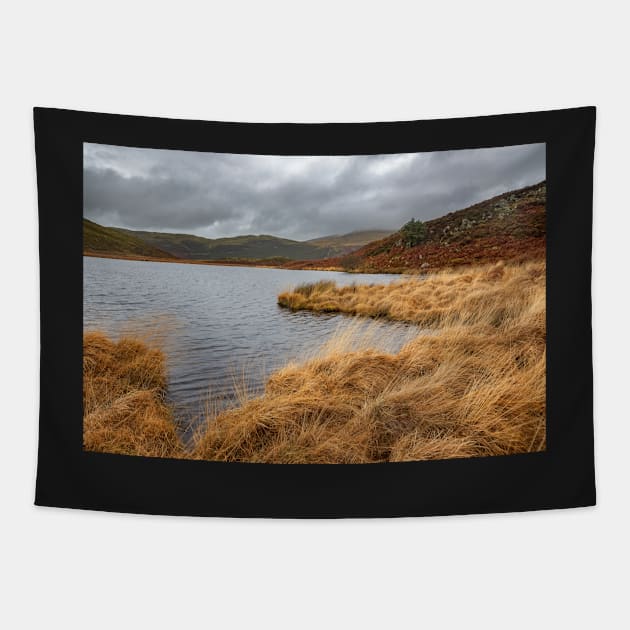 Llyn Barfog (The Bearded Lake), Snowdonia Tapestry by dasantillo