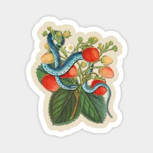 Vintage Blue Tree Snake and Strawberry Plant Magnet