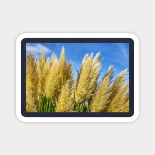 Pampas Grass Magnet