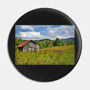 Ironweed & Barn Pin