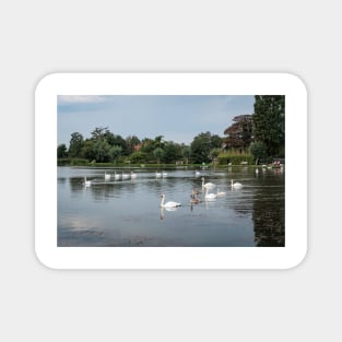 Boating Lake, Aldeburgh Magnet