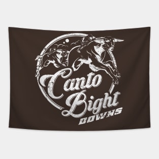 Canto Bight Downs Tapestry