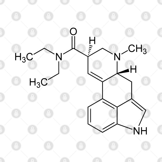 LSD Ergot by tdK