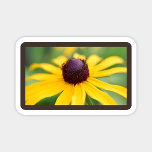 Yellow Coneflower Magnet