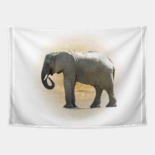 Elephant Tapestry