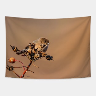 Bushtit Tapestry