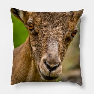 Ibex Pillow