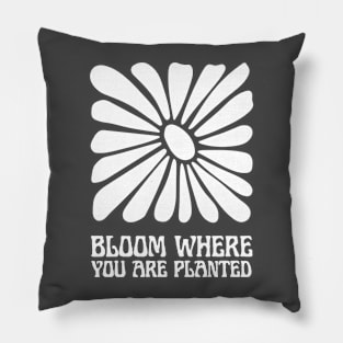 bloom where you are planted Pillow