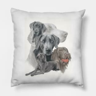 Weimaraner Pillow