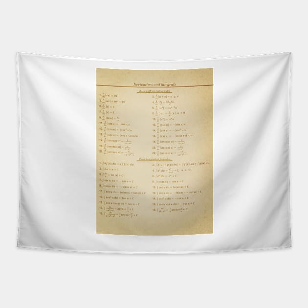 Derivatives And Integrals Tapestry by ScienceCorner