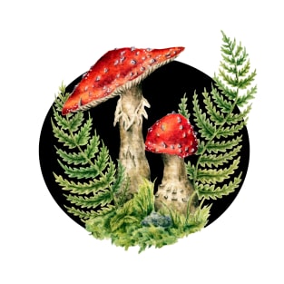 Cottagecore Fairy Mushrooms, Toadstool and Ferns, Fungus Mycology Art, Amanita Muscaria T-Shirt