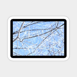 Kaleidoscope Therapy Winter Expression Magnet