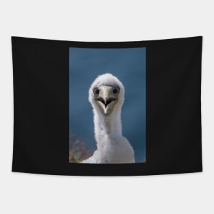 Juvenile Masked Booby, Norfolk Island Tapestry