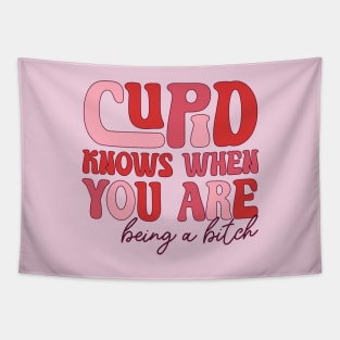 Cupid Knows When You Are Being a Bitch Love Sucks Anti Love Anti Valentine Club Tapestry