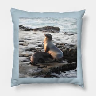 Wildlife gifts, California sea lion, marine life, nature Pillow