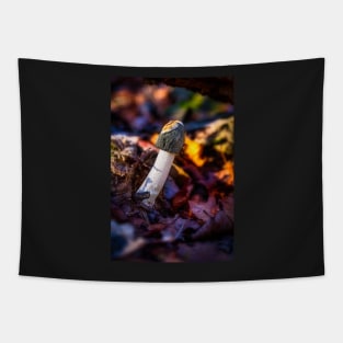 Common Stinkhorn Mushroom Tapestry