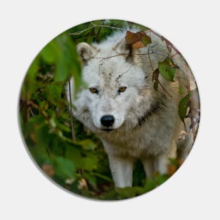 Arctic Wolf Pin