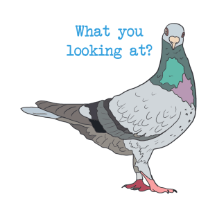 What you Looking at? Pigeon T-Shirt