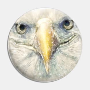 The portrait of an eagle bald Pin