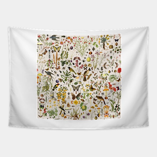 Biology of America USA Tapestry by rolphenstien