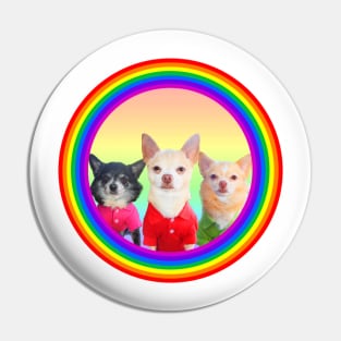 Three Chihuahuas in Polo Pin