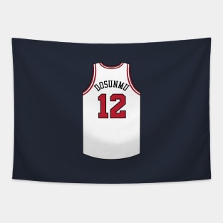 Ayo Dosunmu Chicago Jersey Qiangy Tapestry