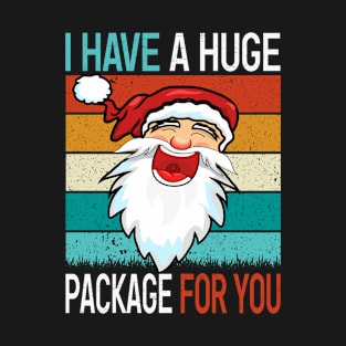 I Have A Huge Package For You, Santa Claus  Christmas Costume Gift T-Shirt