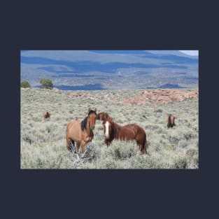 Wild horses, mustangs, wildlife, nature, gifts T-Shirt