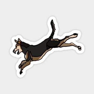 Coated Xoloitzcuintli Magnet