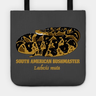 South American Bushmaster, Lachesis muta Tote