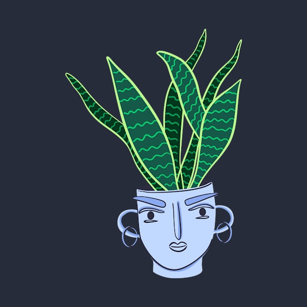 Sansevieria houseplant by DanielK