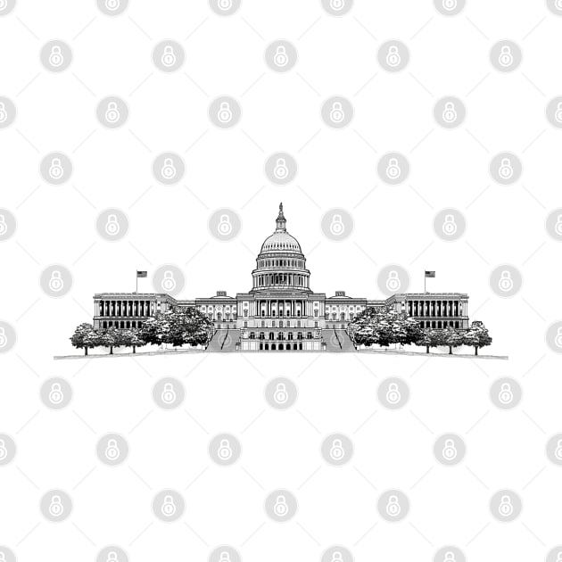 United States Capitol Building by Dual Rogue