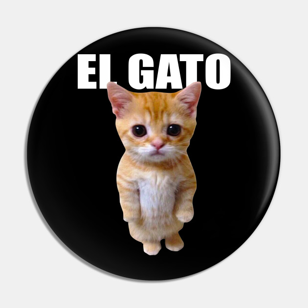 Bottons Memes de Gatos - Cat meme - Gatinhos