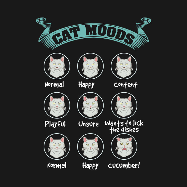 Funny Cat Moods Oh My A Cucumber by VBleshka