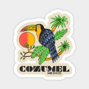 Retro Cozumel Mexico Toucan Tourist Travel Souvenir Magnet