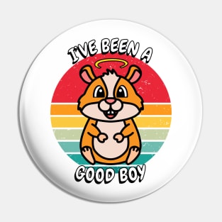 Cute orange hamster is a good boy Pin