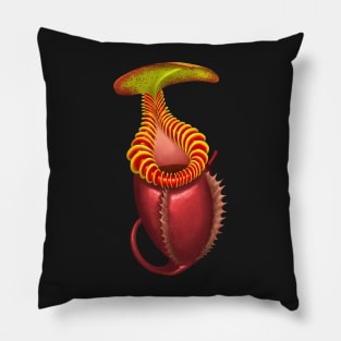 Carnivorous Plant Nepenthes Villosa Botanical Pitcher Plant Pillow