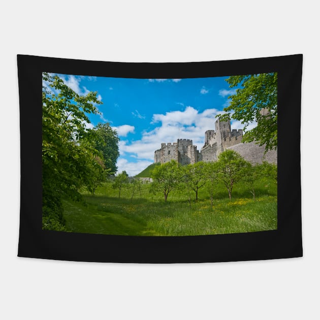 Arundel Castle Tapestry by RichardGibb