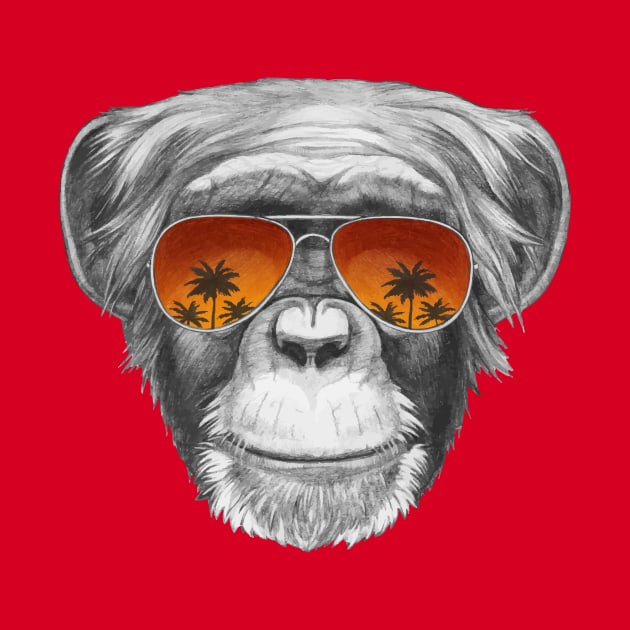 Monkey with mirror sunglasses by AnimalsFashion