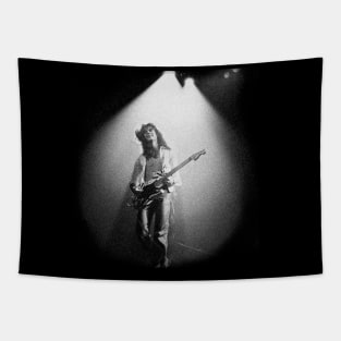 EVH Tapestry