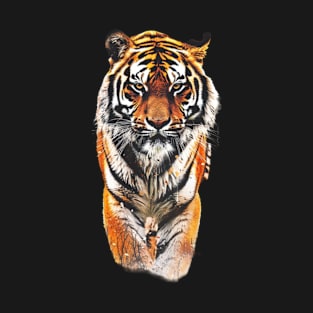 Rainforest Tigers Hidden Majesty T-Shirt