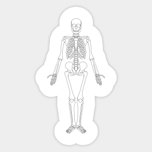 Human Skeleton Stickers | TeePublic