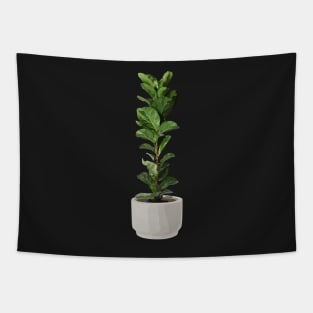 Ficus lyrata aka Fiddle-leaf fig Tapestry