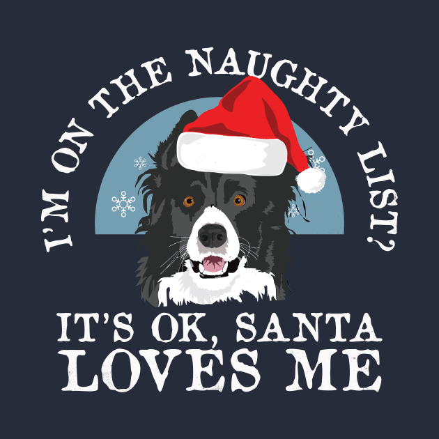 Funny Naughty Dog Lovers Border Collie Christmas Gift by Freid