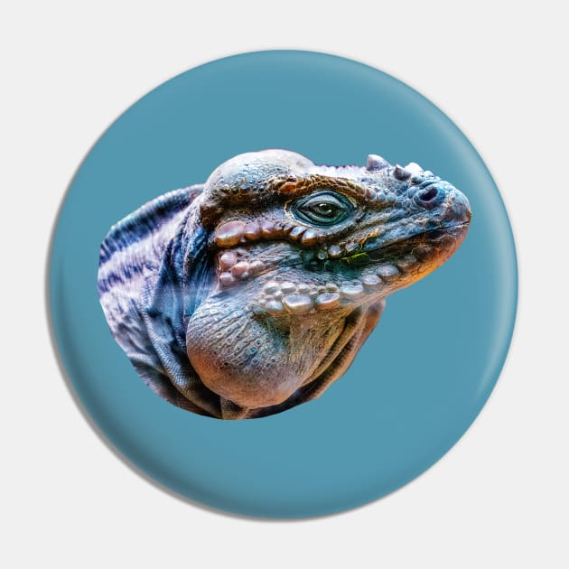 Rhinoceros Iguana Pin by dalyndigaital2@gmail.com